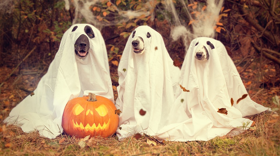 Scary Social Media for Halloween